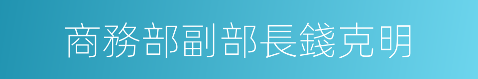 商務部副部長錢克明的同義詞