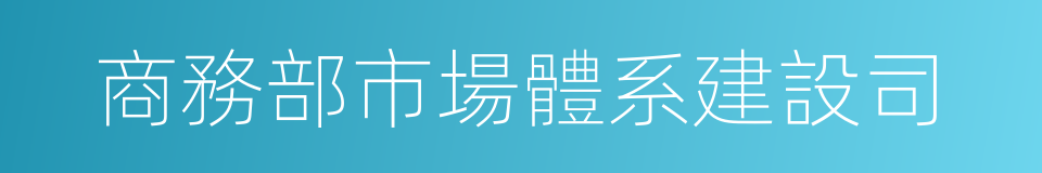 商務部市場體系建設司的同義詞