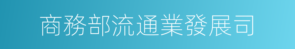 商務部流通業發展司的同義詞