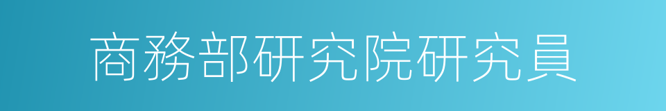 商務部研究院研究員的同義詞