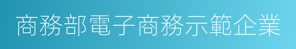 商務部電子商務示範企業的同義詞