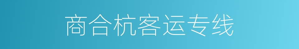 商合杭客运专线的同义词