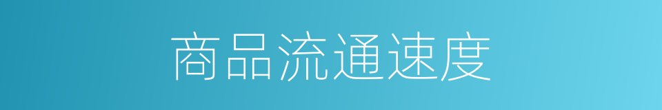 商品流通速度的同义词