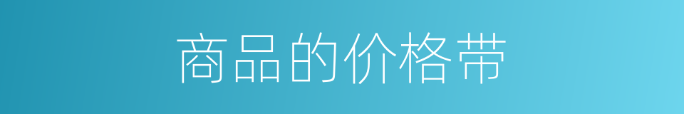 商品的价格带的同义词