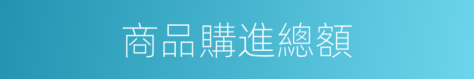商品購進總額的同義詞