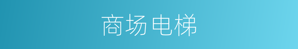 商场电梯的同义词