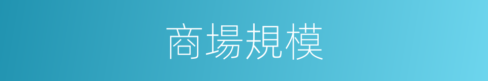 商場規模的同義詞
