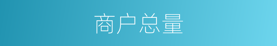 商户总量的同义词