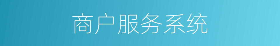 商户服务系统的同义词