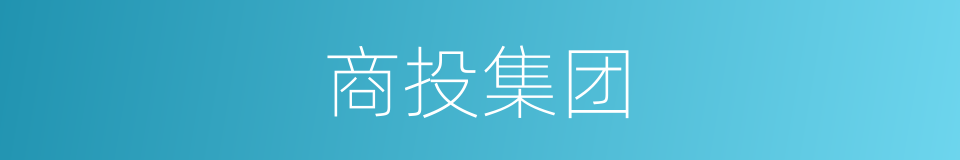 商投集团的同义词