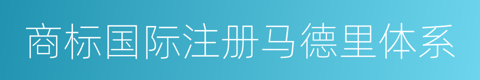 商标国际注册马德里体系的同义词