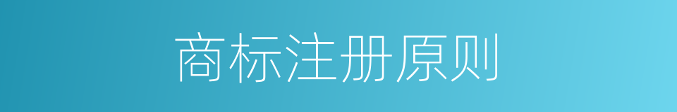 商标注册原则的同义词