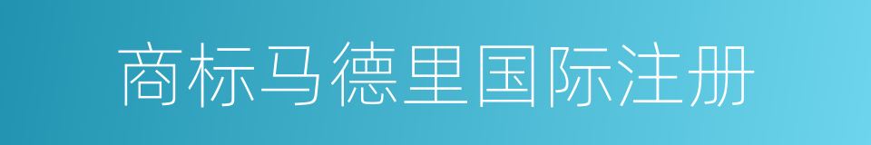 商标马德里国际注册的同义词