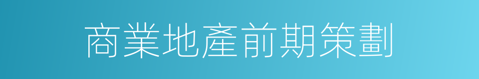商業地產前期策劃的同義詞