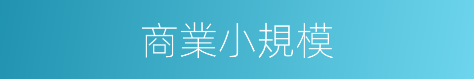 商業小規模的同義詞