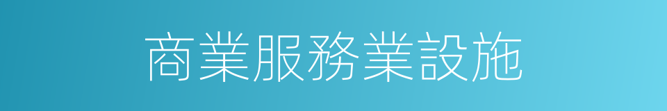 商業服務業設施的同義詞