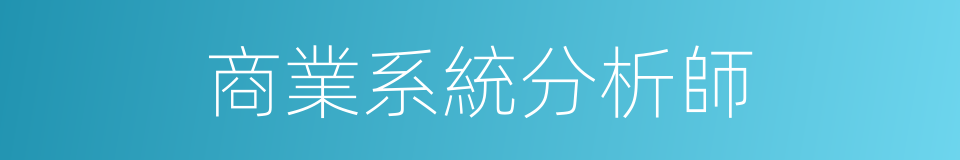 商業系統分析師的同義詞