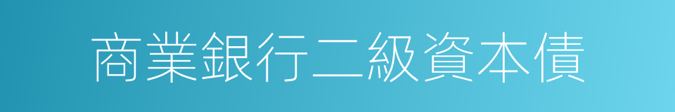 商業銀行二級資本債的同義詞