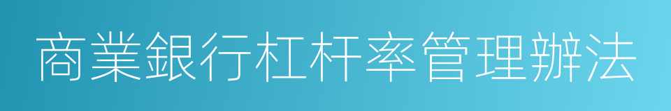 商業銀行杠杆率管理辦法的同義詞