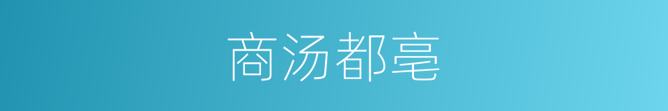 商汤都亳的同义词