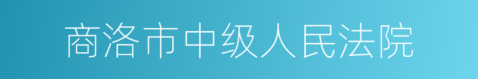 商洛市中级人民法院的同义词