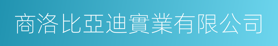 商洛比亞迪實業有限公司的同義詞