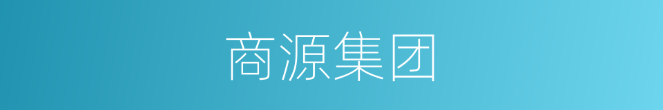 商源集团的同义词