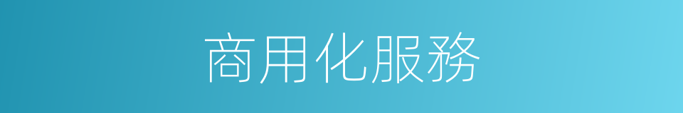 商用化服務的同義詞