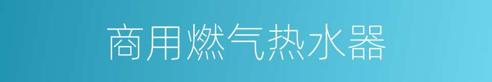 商用燃气热水器的同义词