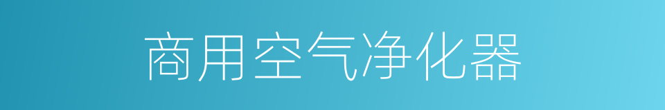 商用空气净化器的同义词