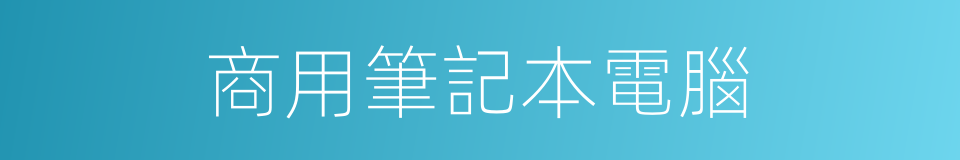 商用筆記本電腦的同義詞