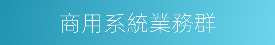 商用系統業務群的同義詞