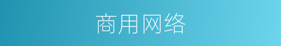 商用网络的同义词