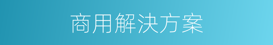 商用解決方案的同義詞