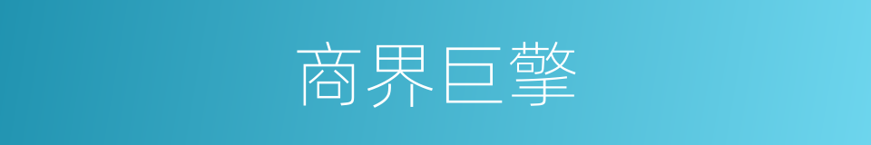 商界巨擎的同义词