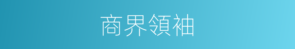 商界領袖的同義詞