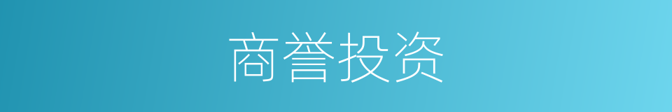 商誉投资的意思