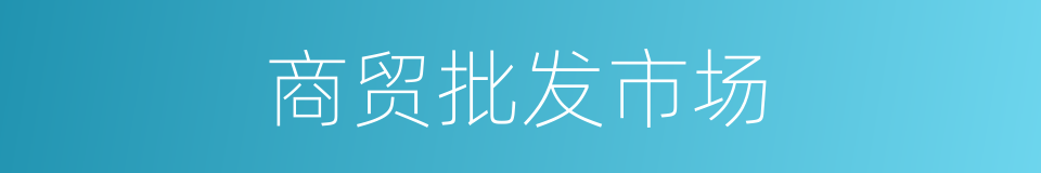 商贸批发市场的同义词