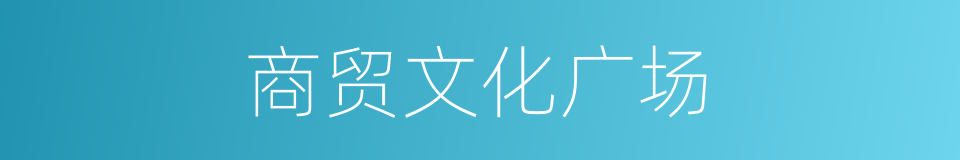 商贸文化广场的同义词