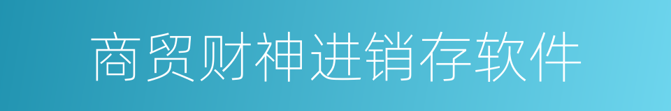 商贸财神进销存软件的同义词