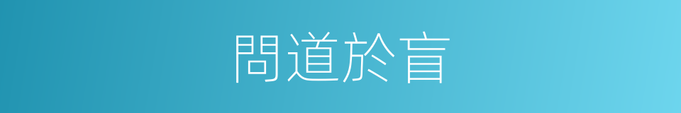 問道於盲的意思
