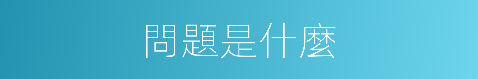 問題是什麼的意思