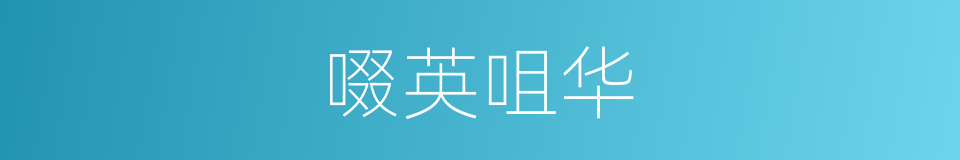 啜英咀华的意思