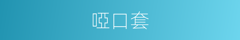 啞口套的意思