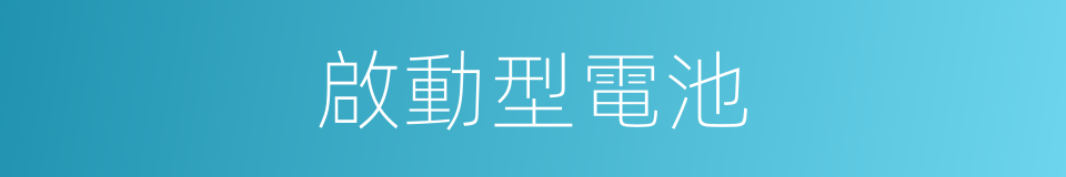 啟動型電池的同義詞