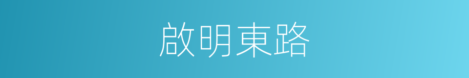 啟明東路的同義詞
