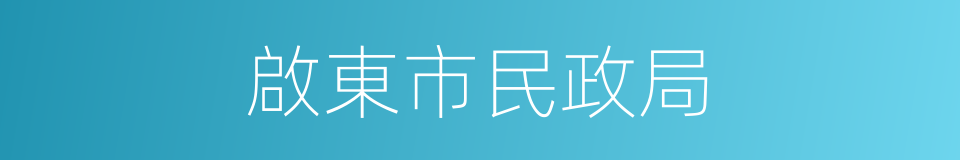 啟東市民政局的同義詞