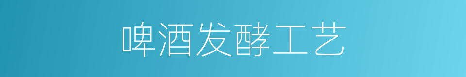 啤酒发酵工艺的同义词
