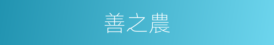 善之農的同義詞