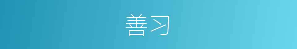 善习的意思